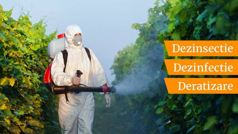 Osher Serv DDD - Deratizare, Dezinsectie si Dezinfectie